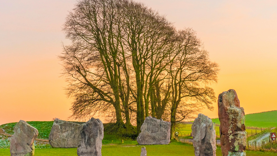 [アンケート Web] banner image