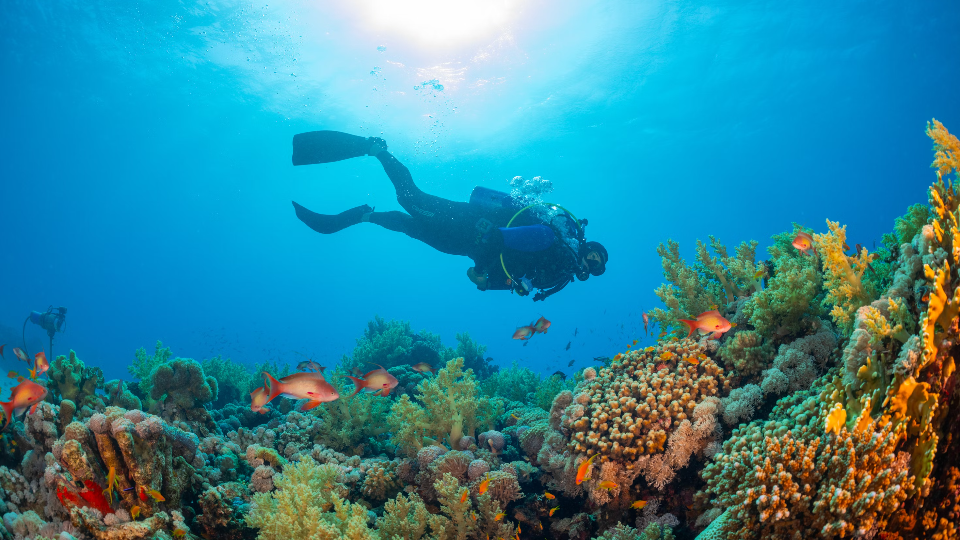 [WEBページWEBページWEBページWEBページWEBページWEBページWEBページWEBページWEBページWEBページWEBページWEBページWEBページWEBページWEBページWEBページWEBページWEBページWEBページWEBページWEBページWEBページWEBページWEBページWEBページWEBページWEBページWEBページWEBページWEBページWEBページWEBページWEBページWEBページWEBページWEBページWEBページWEBページWEBページWEBページ] main image